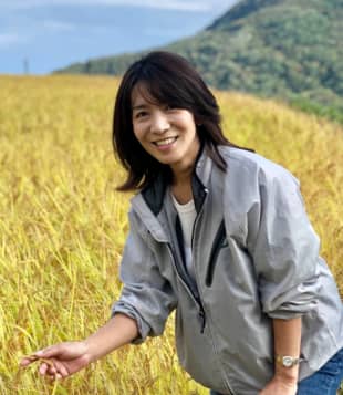 Quality control: Fifth-generation brewery owner Rumiko Obata checks the rice used to make sake at her family’s brewery on Sado Island. | COURTESY OF OBATA SHUZO