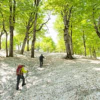 Hiking in light snow on Mount Yudono in Yamagata Prefecture in spring. | COURTESY OF DEREK YAMASHITA
