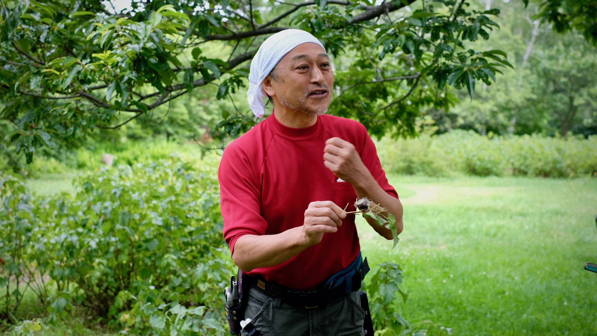 Peak produce: Kenji Hayashi is one of only five growers in Aomori Prefecture whose blackcurrants have been given “premium” status. | Florentyna Leow 
