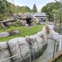 \"Panda no Mori\" (Panda\'s Forest) at Tokyo\'s Ueno zoo was opened to the public on Tuesday. | KYODO