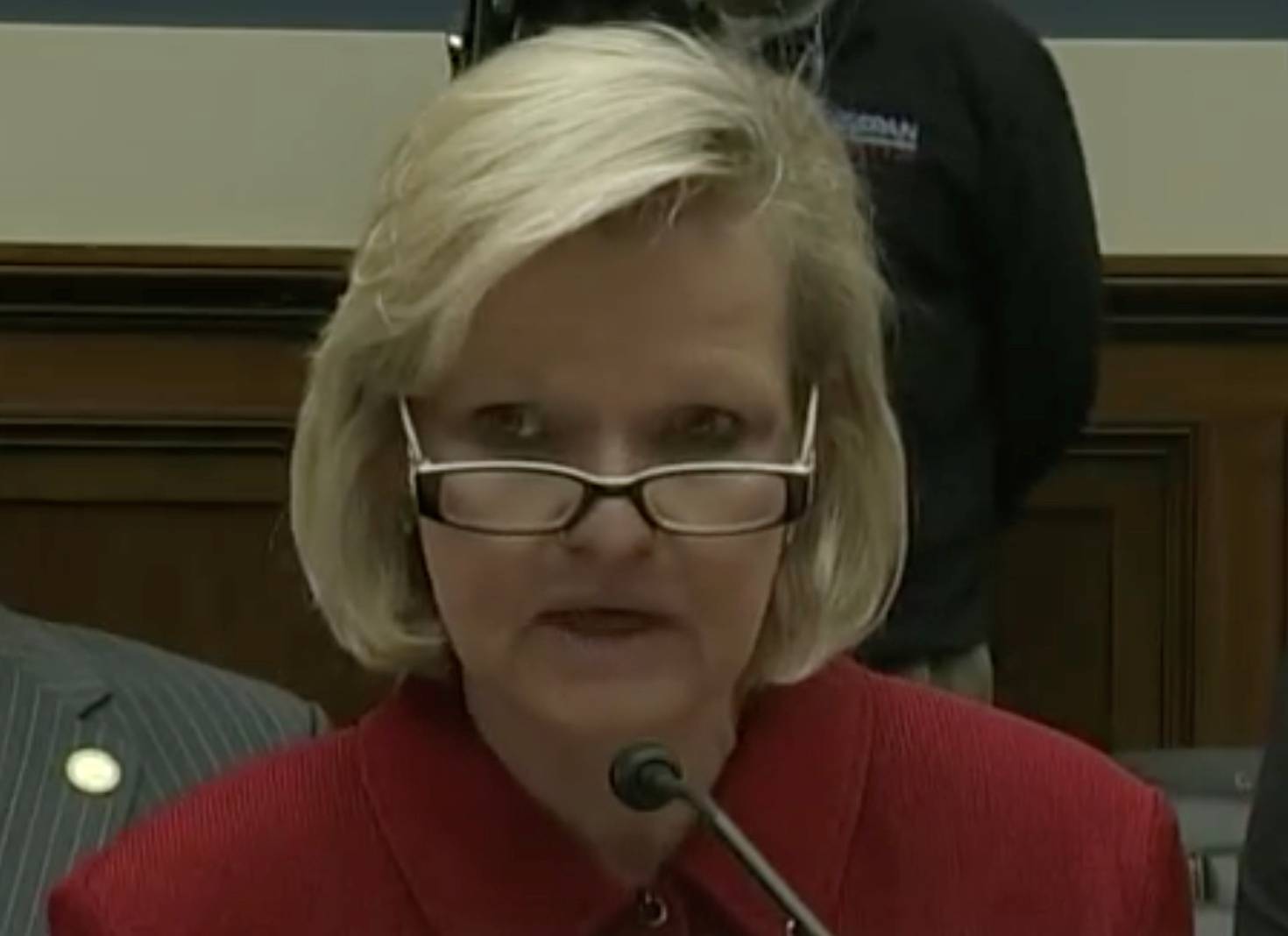 Lawyer Cleta Mitchell speaks during a hearing in Washington in 2014 | C-SPAN / via REUTERS