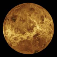 A global view of the surface of Venus made mostly from data captured by the Magellan spacecraft in 1991.  | NASA / JPL / VIA THE NEW YORK TIMES