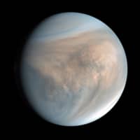 An image of Venus made with data recorded by Japan’s Akatsuki spacecraft in 2016. So close, so similar and very mysterious, the planet is surprising scientists with a chemical signature spotted in its clouds. | PLANET-C PROJECT TEAM / JAXA / VIA THE NEW YORK TIMES