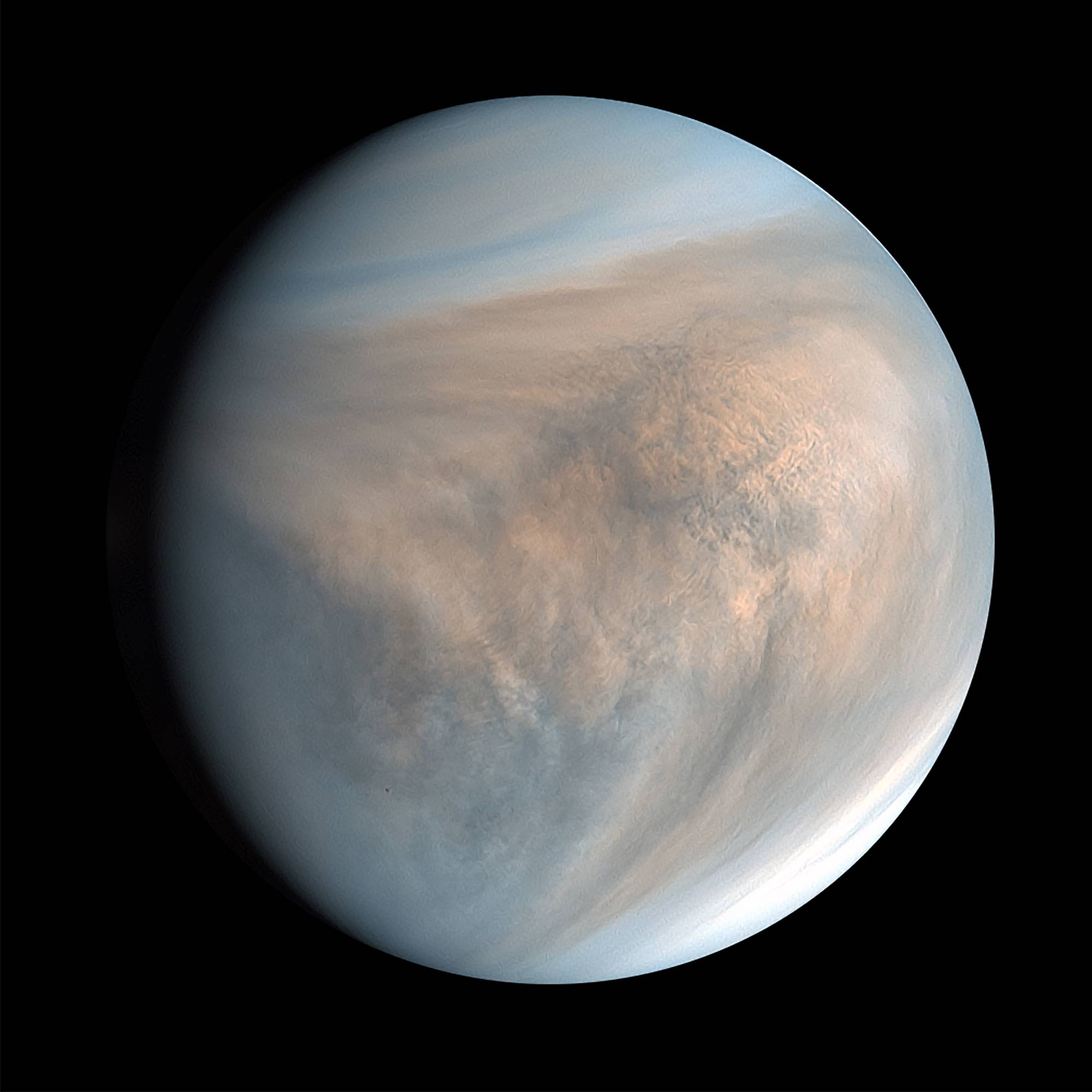An image of Venus made with data recorded by Japan’s Akatsuki spacecraft in 2016. So close, so similar and very mysterious, the planet is surprising scientists with a chemical signature spotted in its clouds. | PLANET-C PROJECT TEAM / JAXA / VIA THE NEW YORK TIMES