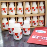Strawberry yogurt with a package featuring an illustration of Chief Cabinet Secretary Yoshihide Suga, the son of a strawberry farmer, are sold in Akita Prefecture. | KYODO
