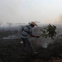 Dorvalino Conceicao Camargo, 56, who works on a ranch, attempts to put out a fire with a tree branch in the Pantanal.  | REUTERS 