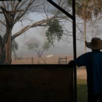 Dorvalino Conceicao Camargo, 56, stands on the ranch where he works as smoke rises nearby.  | REUTERS 