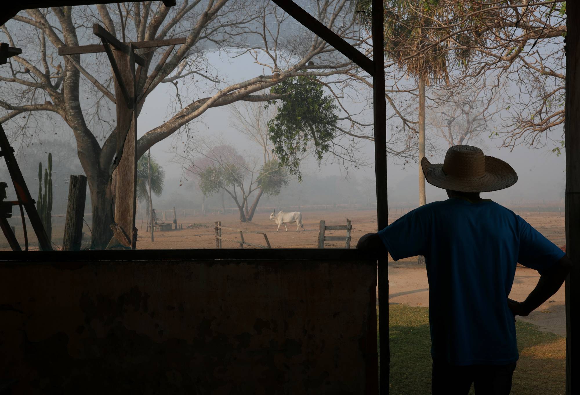 Dorvalino Conceicao Camargo, 56, stands on the ranch where he works as smoke rises nearby.  | REUTERS 