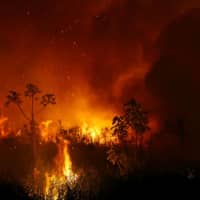 Smoke rises into the air as trees burn in the Pantanal, the world\'s largest wetland, in Pocone, in Brazil\'s Mato Grosso state, on Sept. 3. | REUTERS 