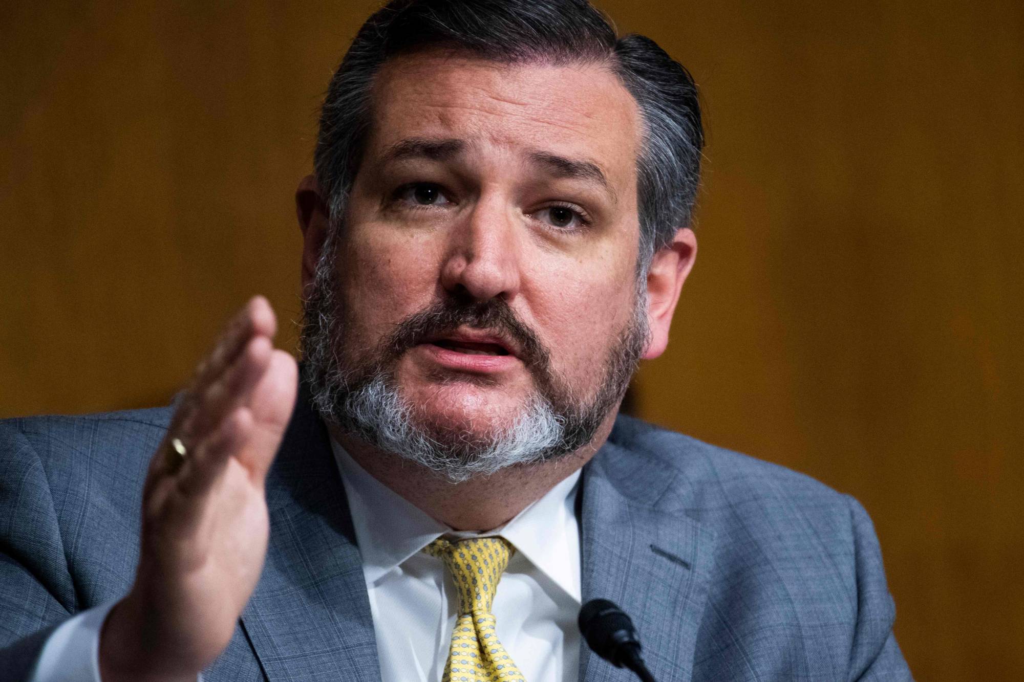 U.S. President Donald Trump's new list of potential Supreme Court nominees includes three Republican senators: Tom Cotton of Arkansas, Ted Cruz of Texas (pictured) and Josh Hawley of Missouri. | AFP-JIJI