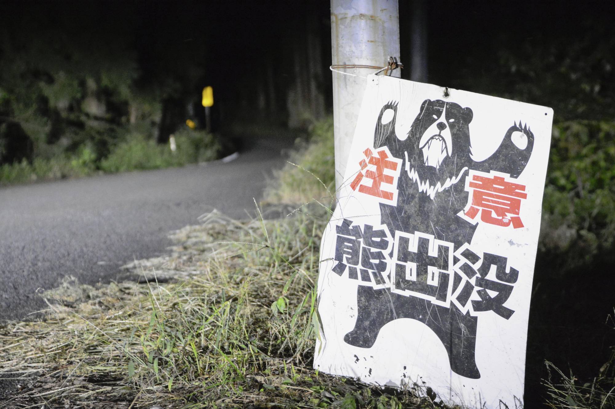 A sign warning of wild bears on a road in Gosen, Niigata Prefecture | KYODO