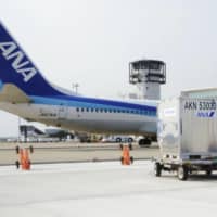 All Nippon Airways Co. plans to cut monthly wages and other benefits by 5% from January at the latest. | KYODO