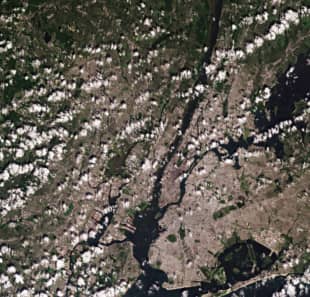 New York City’s 900 kilometers of shoreline in August 2019 as seen by the Copernicus Sentinel-2 satellite | EUROPEAN SPACE AGENCY / VIA BLOOMBERG 