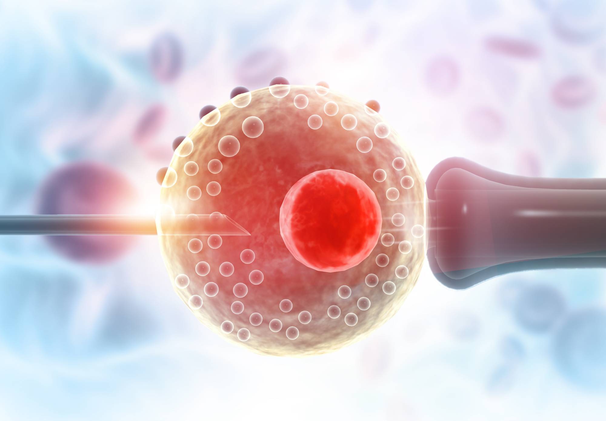 In vitro fertilization, which is considered the most effective form of assisted reproductive technology, is currently not covered by the national health care program. | GETTY IMAGES