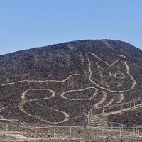 A giant cat figure was discovered etched into a slope in the desert near the town of Nasca in southern Peru.  | PERUVIAN MINISTRY OF CULTURE / VIA AFP-JIJI