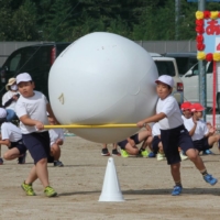 Students in Gero, Gifu Prefecture, participate in a race during sports day in September, holding two sticks to carry a big ball instead of rolling it with their hands. | CHUNICHI SHIMBUN
