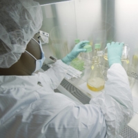 A researcher tests possible COVID-19 antibodies in a laboratory in Indianapolis, Indiana, in May.  | DAVID MORRISON / ELI LILLY / VIA AP