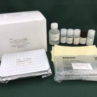 A coronavirus antibody test kit utilizing silkworms | PROTECTS CO. / VIA KYODO