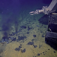 Vents at the bottom of the Suiyo Seamount southeast of Japan | JAMSTEC / VIA THE NEW YORK TIMES