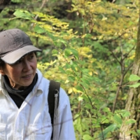 Mushroom master: “I have to keep ahead of all the ‘rivals’ who are also out here looking for mushrooms,” says Ikuko Sato. | CHIARA TERZUOLO