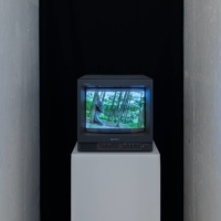 “Dance” by Min Tanaka | COURTESY OF FERGUS MCCAFFREY TOKYO. ALL ARTWORKS © ARTISTS; PHOTO BY RYUICHI MARUO
