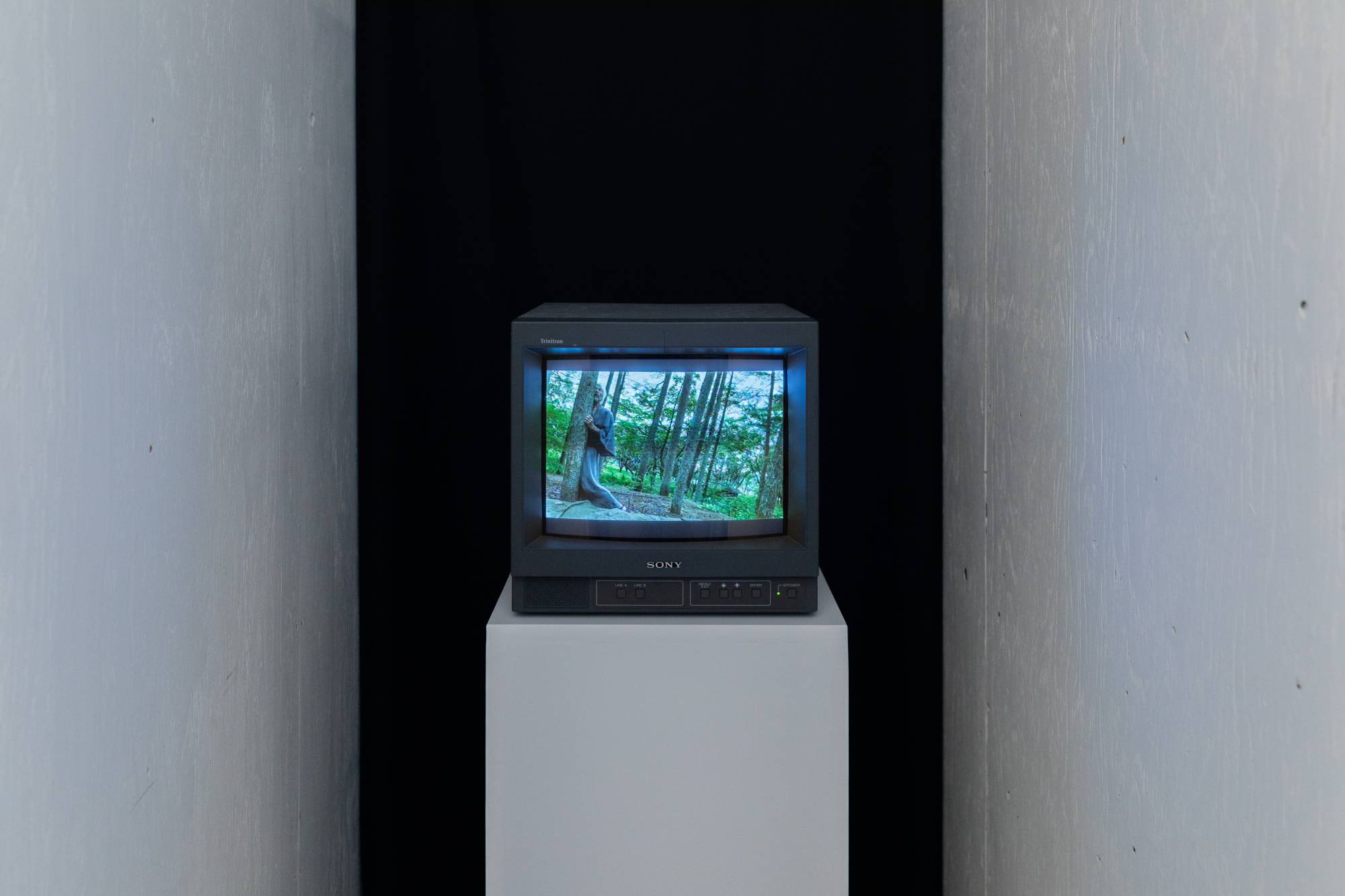 “Dance” by Min Tanaka | COURTESY OF FERGUS MCCAFFREY TOKYO. ALL ARTWORKS © ARTISTS; PHOTO BY RYUICHI MARUO
