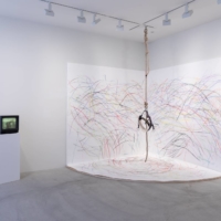 “Up to and Including Her Limits” by Carolee Schneemann | COURTESY OF FERGUS MCCAFFREY TOKYO. ALL ARTWORKS © ARTISTS; PHOTO BY RYUICHI MARUO
