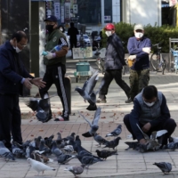 People feed pigeons on a street in Goyang, South Korea, on Wednesday. | AP