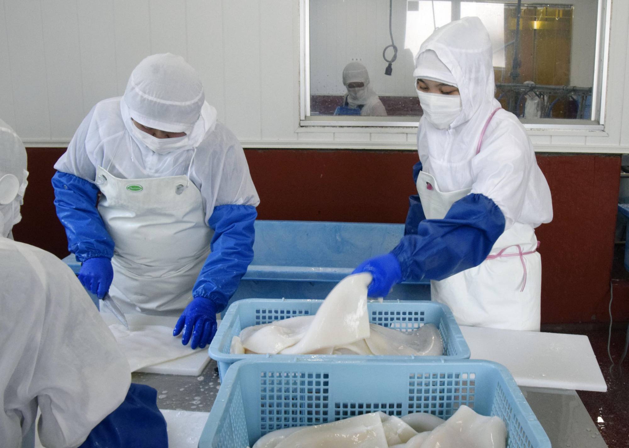 Vietnamese technical interns work at a seafood processing firm in the town of Yamada, Iwate Prefecture, in August. | KYODO