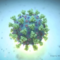 Scientists recently announced they have discovered first evidence showing that the COVID-19 virus has evolved to be more transmissible. | NEXU SCIENCE COMMUNICATION / VIA REUTERS
