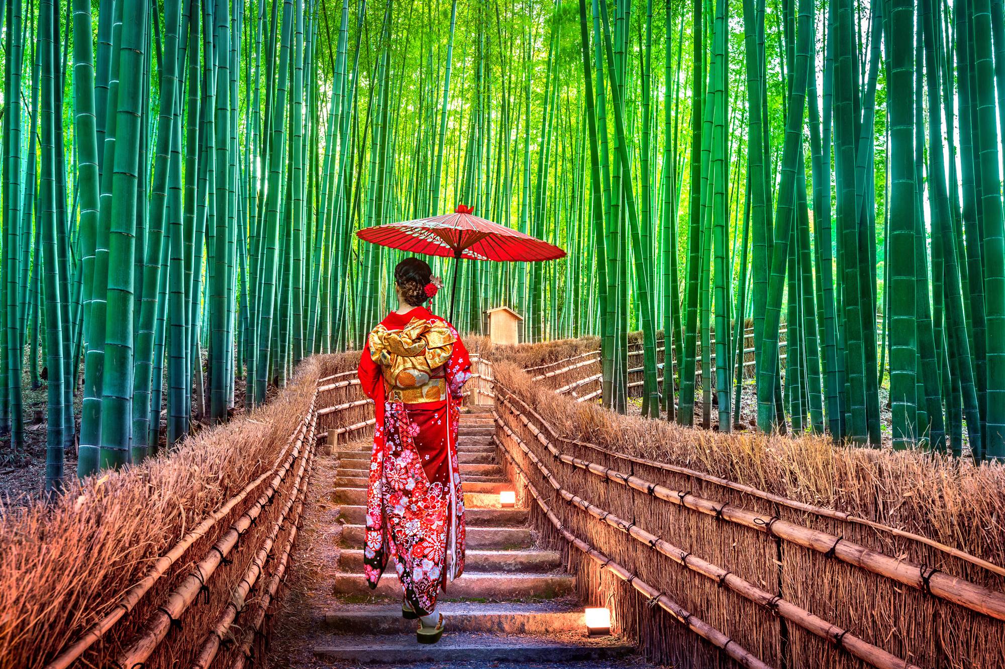 The great outdoors: “Kyoto: A Literary Guide,” an anthology of literature on the city, contains several poems dedicated to the beauty of nature against the fragility of life. | GETTY IMAGES