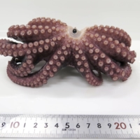 The nine-legged octopus was found by a Miyagi Prefecture fisherman as he was boiling it. | KYODO
