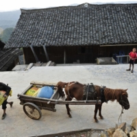 The sheer scale of China’s overall achievements when it comes to poverty alleviation is remarkable. More than 850 million people have been lifted out of extreme poverty in under four decades. | REUTERS