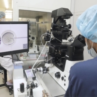 An embryo culture specialist uses a microscope to inject sperm into an egg at Sugiyama Clinic Shinjuku in Tokyo in October. | KYODO
