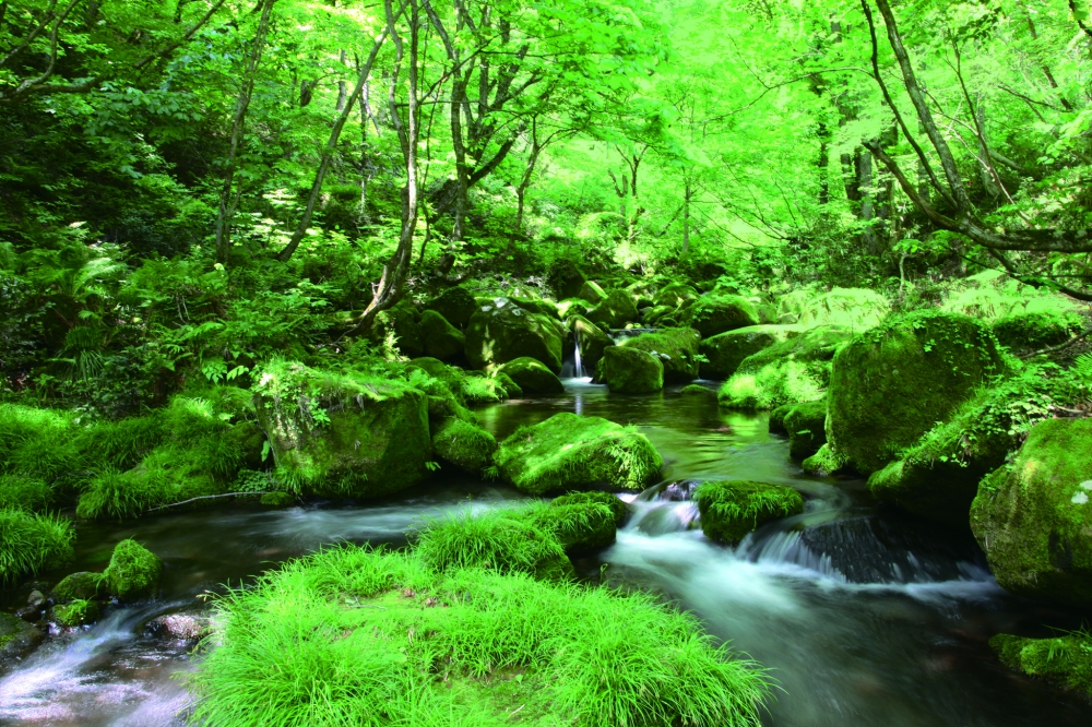 Suntory’s Natural Water Sanctuary Okudaisen located in Tottori | SUNTORY HOLDINGS LTD.