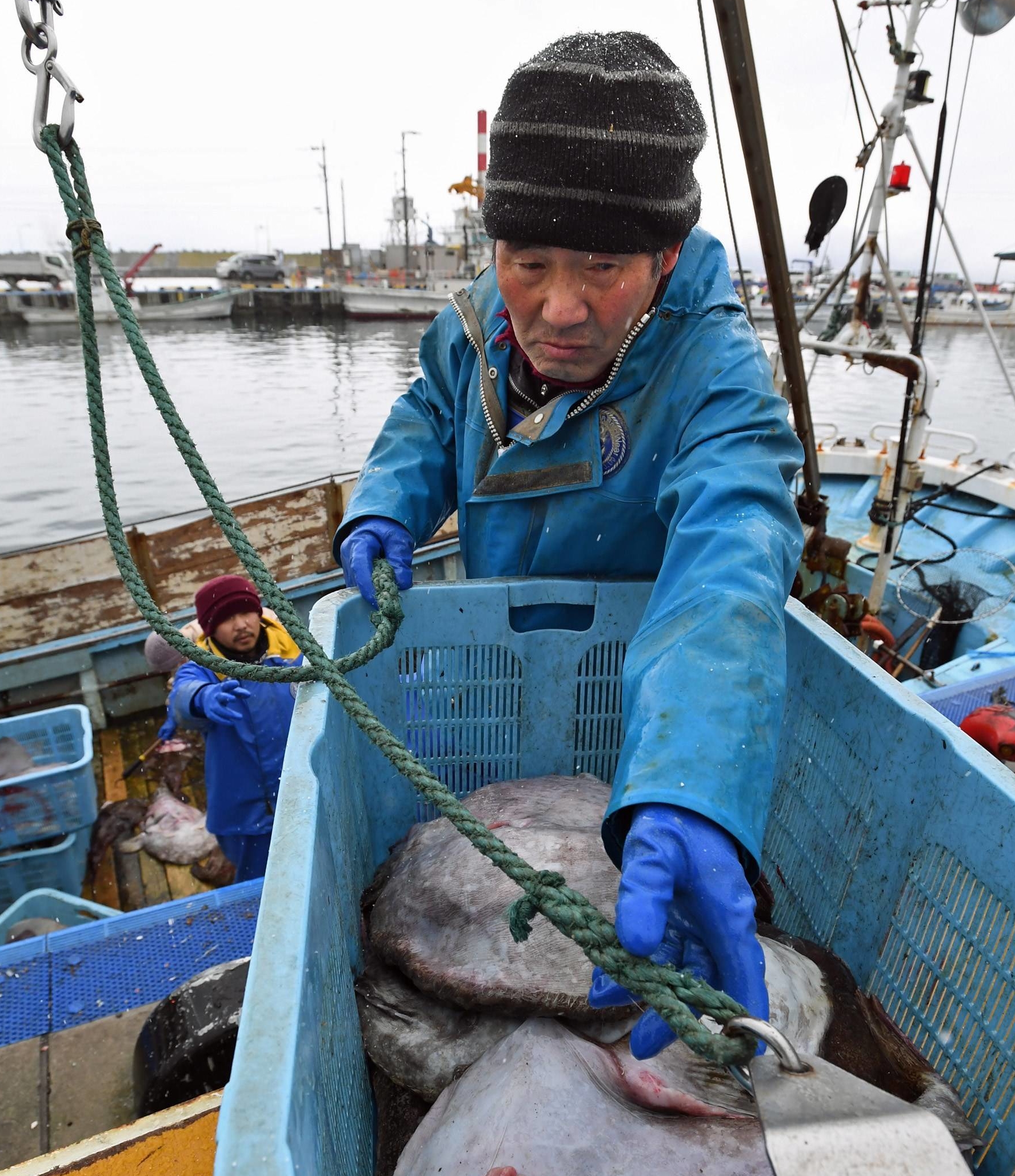 Fisherman Kyozo Kimura catches anglerfish in the town of Suttsu in Hokkaido. | HOKKAIDO SHIMBUN