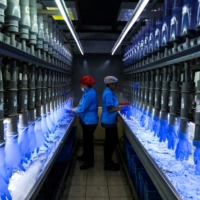 Employees check latex gloves in the watertight test room at a Top Glove Corp. factory in Setia Alam, Selangor, Malaysia, on Feb. 18. | BLOOMBERG