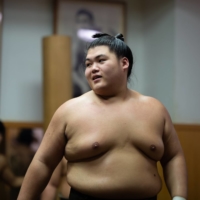 Naya, now known as Oho, trains at his Otake stable in August 2019. | JOHN GUNNING
