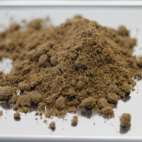 Cricket powder produced by Gryllus | COURTESY OF GRYLLUS
