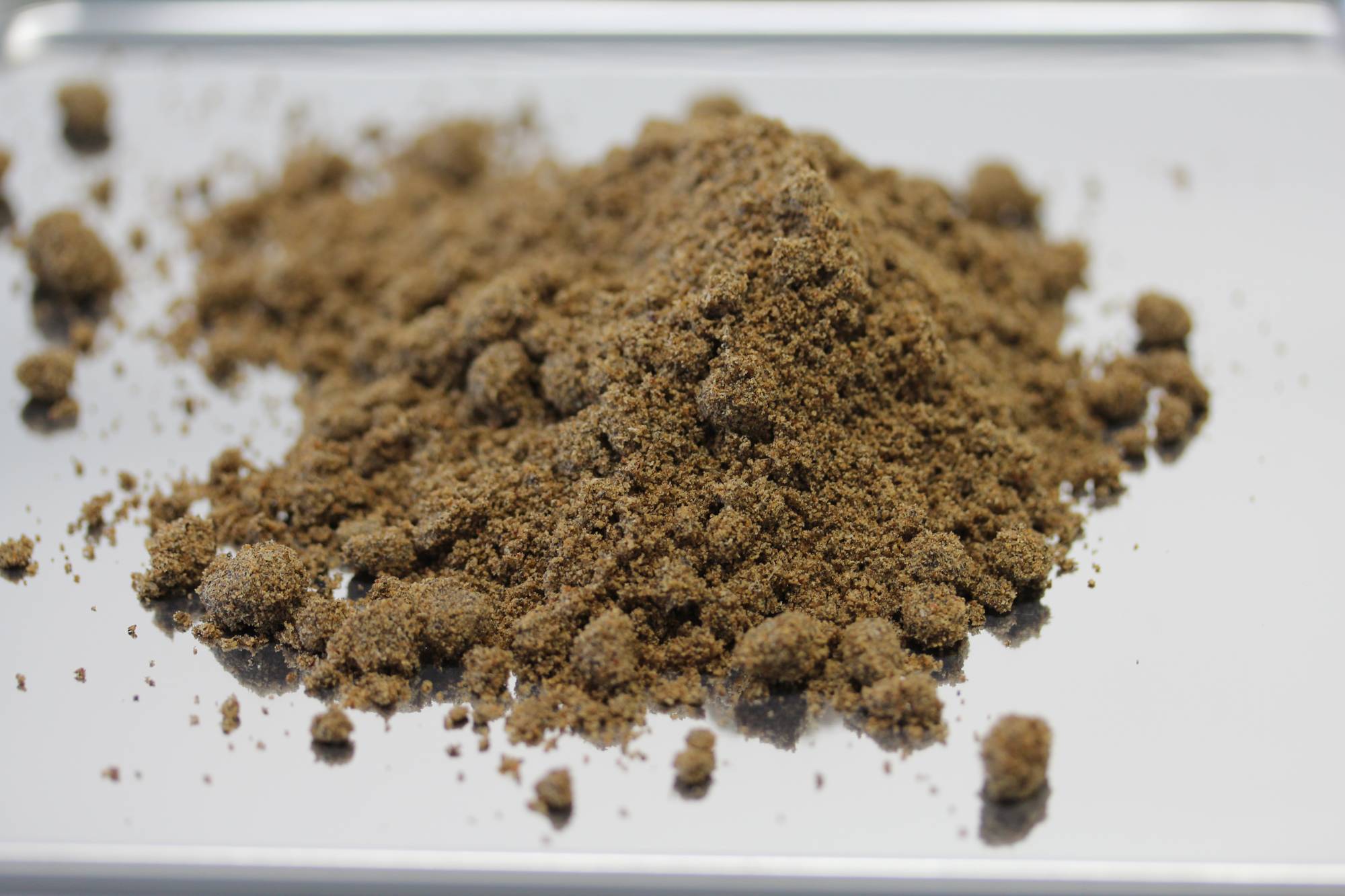 Cricket powder produced by Gryllus | Courtesy of Gryllus 