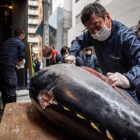 Wholesaler Yukitaka Yamaguchi cuts one of the auctioned tuna at a restaurant in Ginza after the New Year\'s auction at Toyosu fish market in Tokyo on Tuesday. | AFP-JIJI