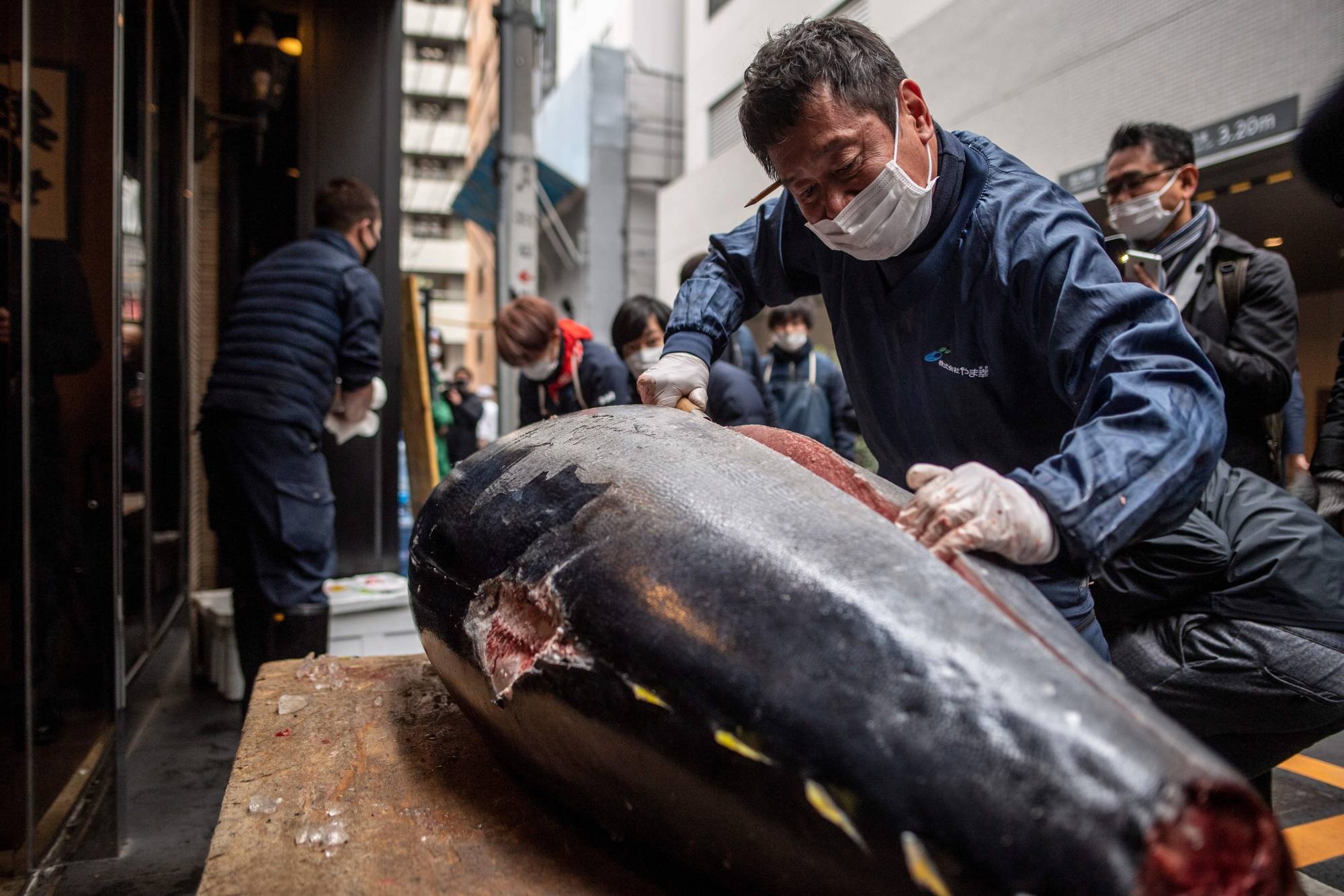 Fish Market Tuna
