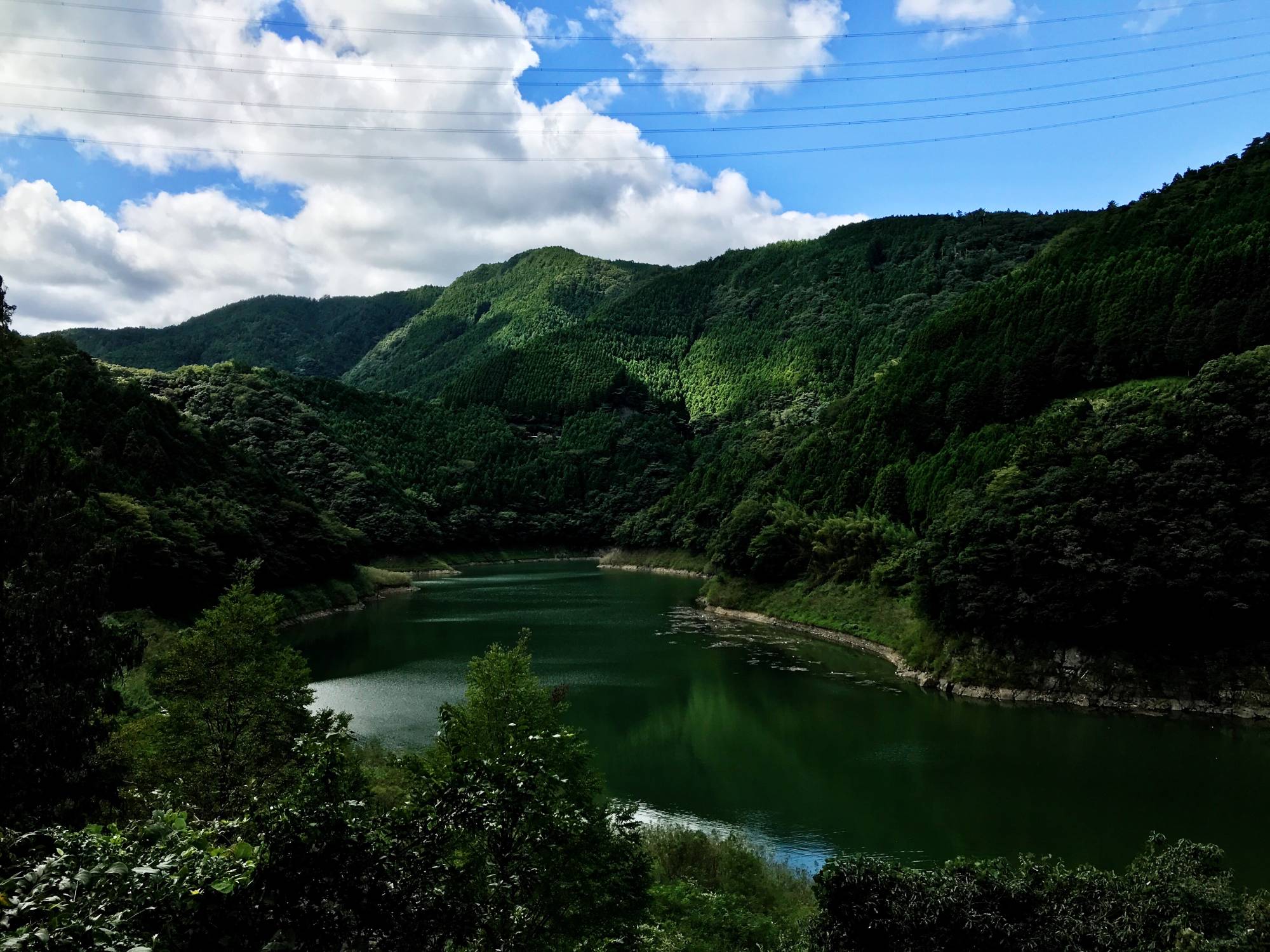 Entropy: In Kamikatsu, Tokushima Prefecture, people and nature have “intertwined in one of the wildest places of civilization.” | FLORENTYNA LEOW