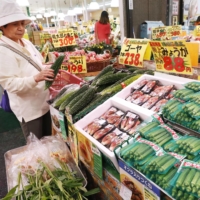A customer examines vegetables in a supermarket in Tokyo in July 2019.
 | KYODO