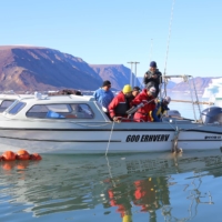 Hokkaido fishing operators, already suffering from poor salmon hauls, are rapidly changing to yellowtail and even bluefin tuna in order to stay afloat. | COURTESY OF HOKKAIDO ARCTIC RESEARCH CENTER