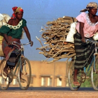 Women in Burkina Faso carry wood and sacks of food on bicycles. About a quarter of the Earth\'s land area is in a bad condition due to natural processes such as erosion and human practices like deforestation and overgrazing, scientists say. | REUTERS