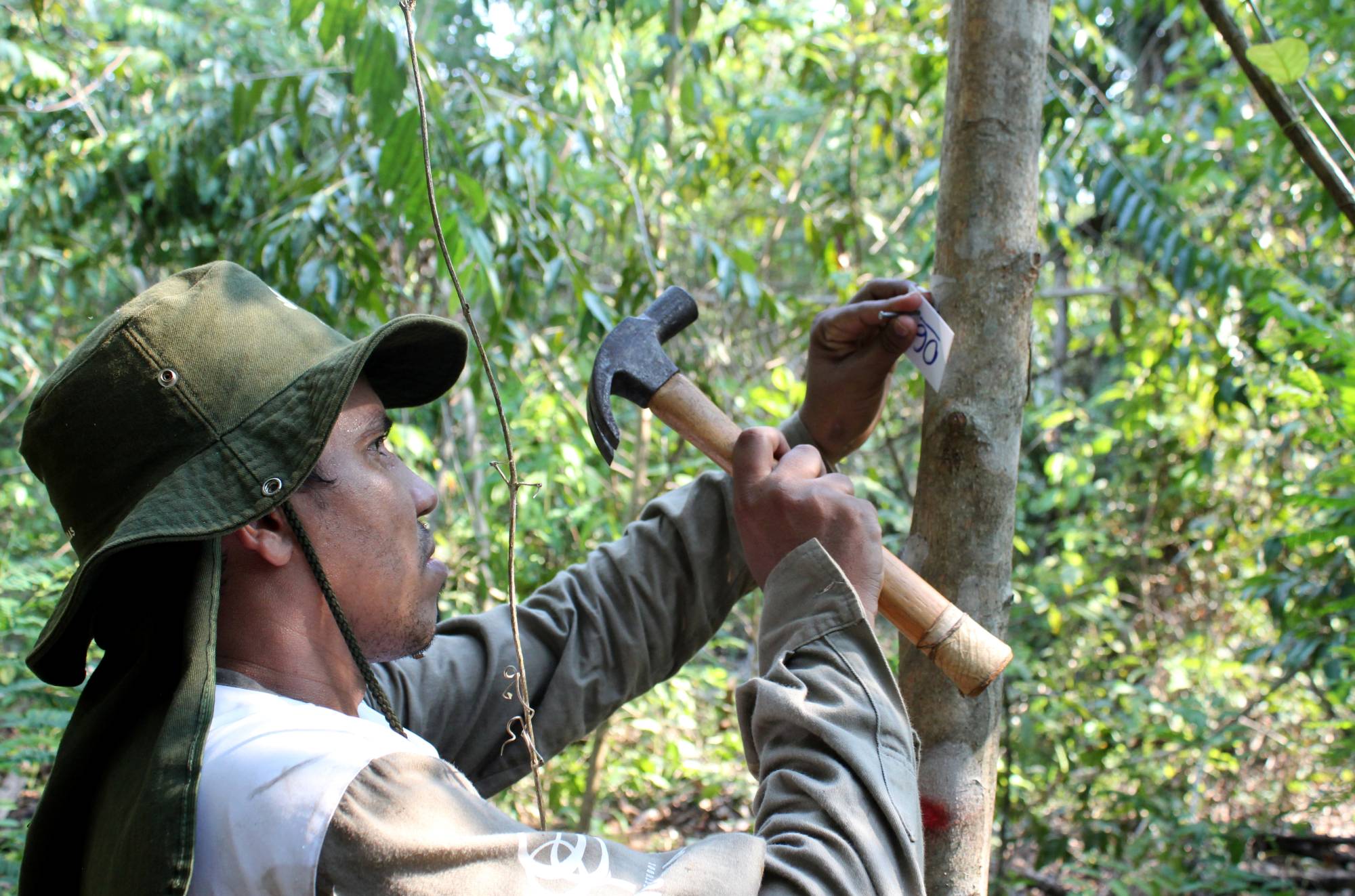 Rioterra biologist Alexandre Lima Queiroz marks a tree on a parcel of Amazon rainforest in Itapua do Oeste, Rondonia state, Brazil, in November.  | REUTERS