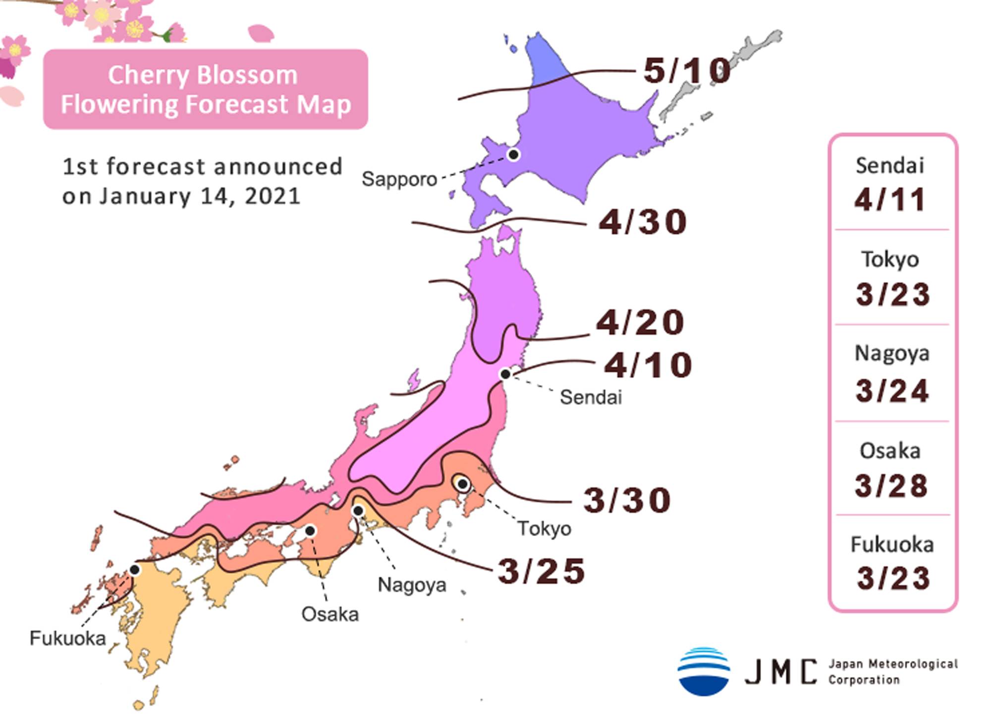 Cherry blossom to bloom three days earlier than average this year in