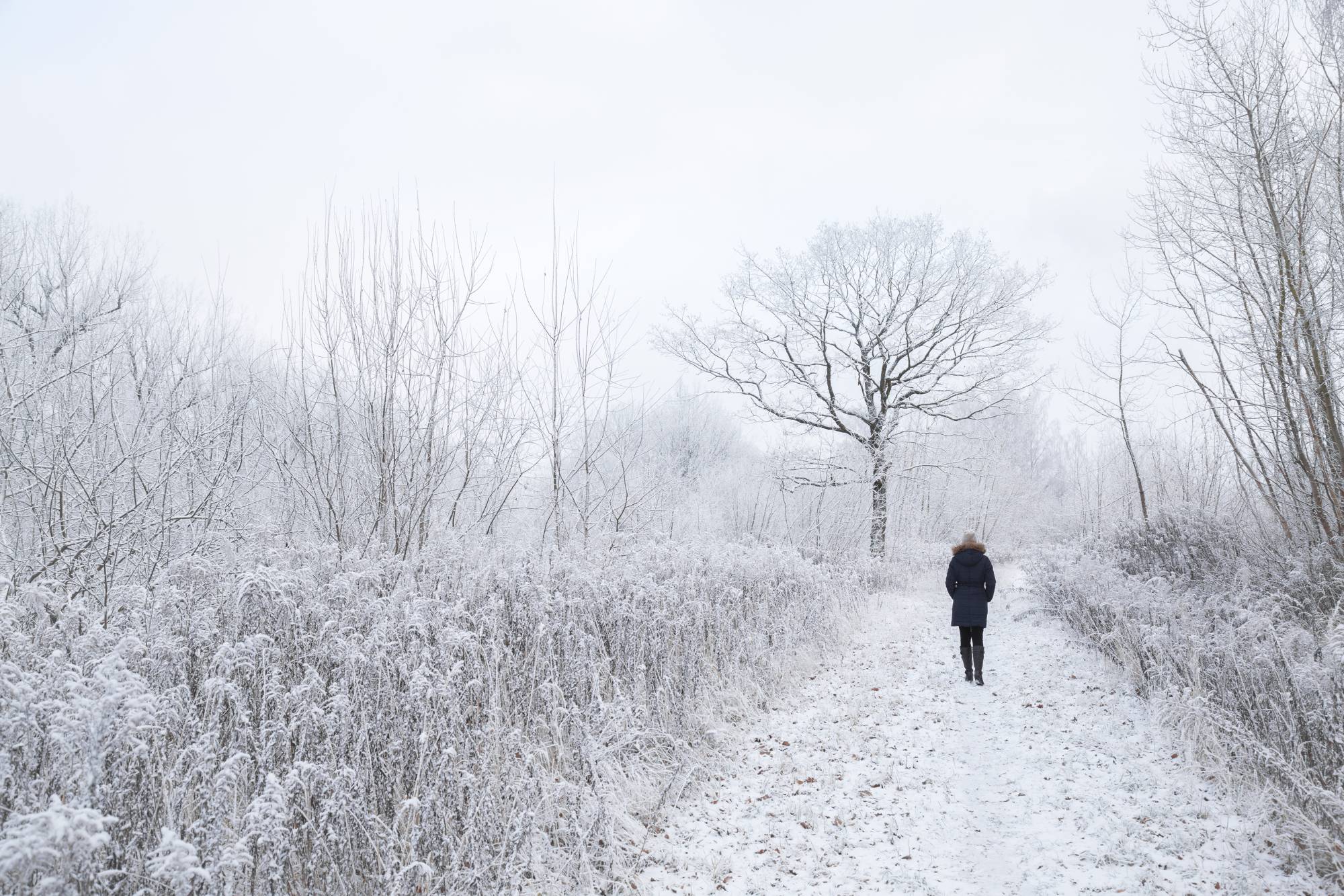 气质清纯美女雪地玩耍写真，俏皮可爱|雪地|写真|可爱_新浪新闻