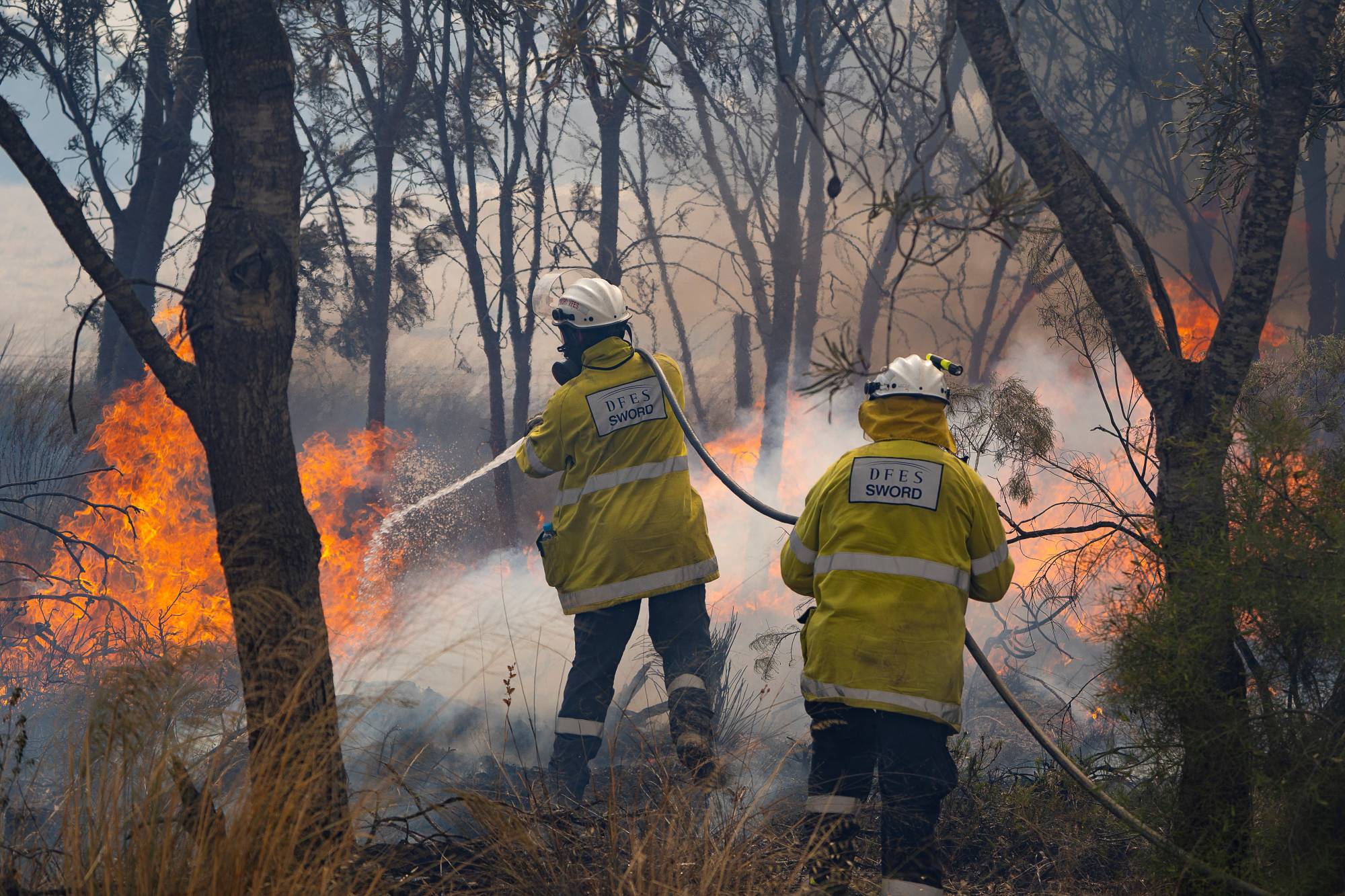 Crews battle a bush fire in Red Gully, Western Australia. | DEPARTMENT OF FIRE AND EMERGENCY SERVICES / via REUTERS 